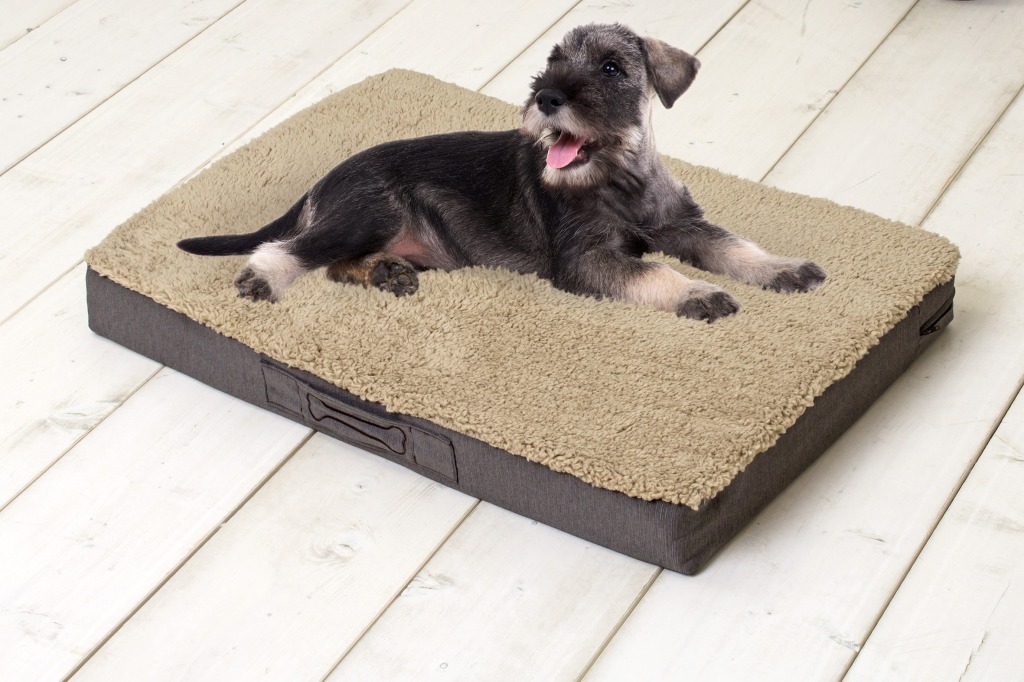 Sun Garden Buddy Orthopedisch Hondenkussen 120x72x10cm Beige Sun Garden Buddy Orthopedisch Hondenkussen 120x72x10cm Beige