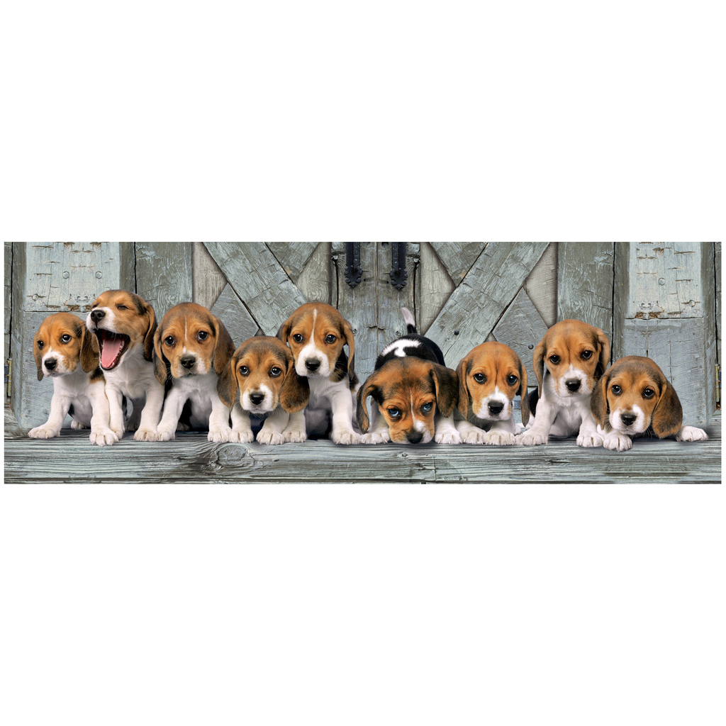 Clementoni High Quality Collection Panorama Puzzel Beagles 1000 Stukjes Clementoni High Quality Collection Panorama Puzzel Beagles 1000 Stukjes