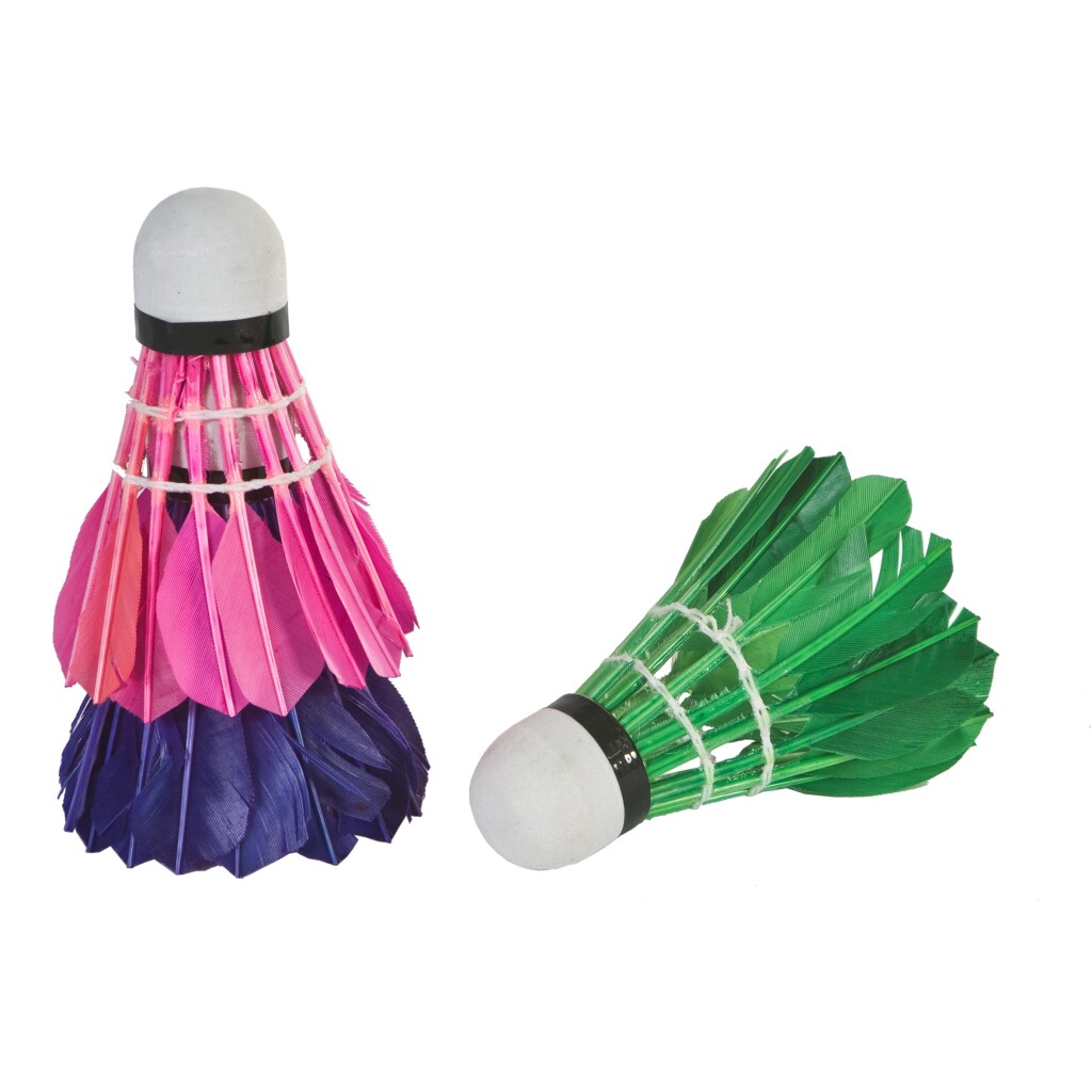SportX Veren Shuttles in Koker 3 Stuks Paars/Roze/Groen SportX Veren Shuttles in Koker 3 Stuks Paars/Roze/Groen