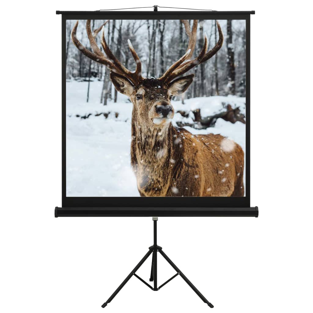 Projectiescherm met standaard 1:1 48'' Projectiescherm met standaard 1:1 48''