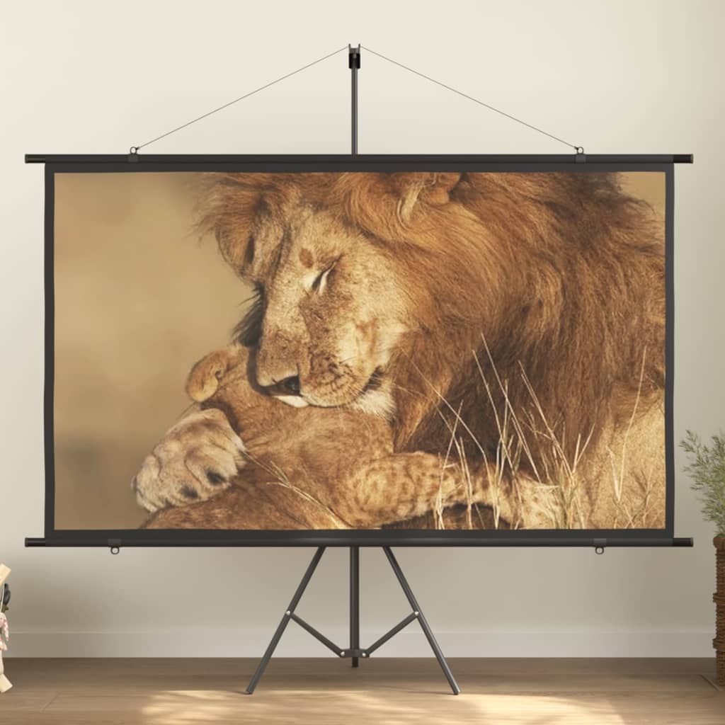 Projectiescherm met statief 16:9 90'' Projectiescherm met statief 16:9 90''